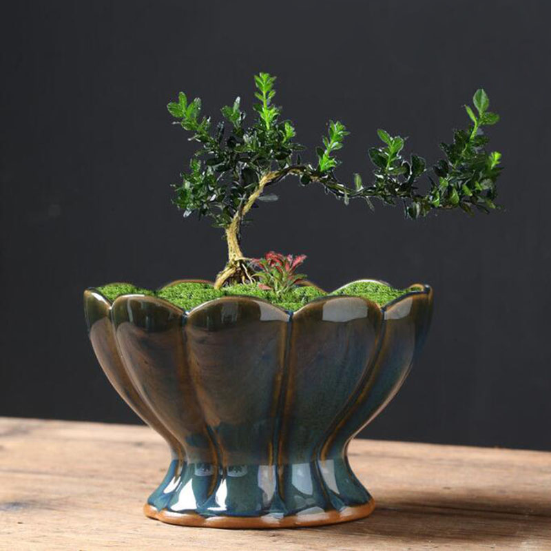 Kiln Transmutation Glazed Eggs - Bonsai Garden Art 评论和价格